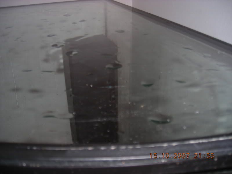 DSCN0246.jpg