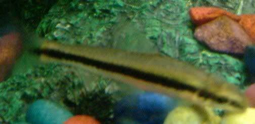 2005_0130_204752.jpg