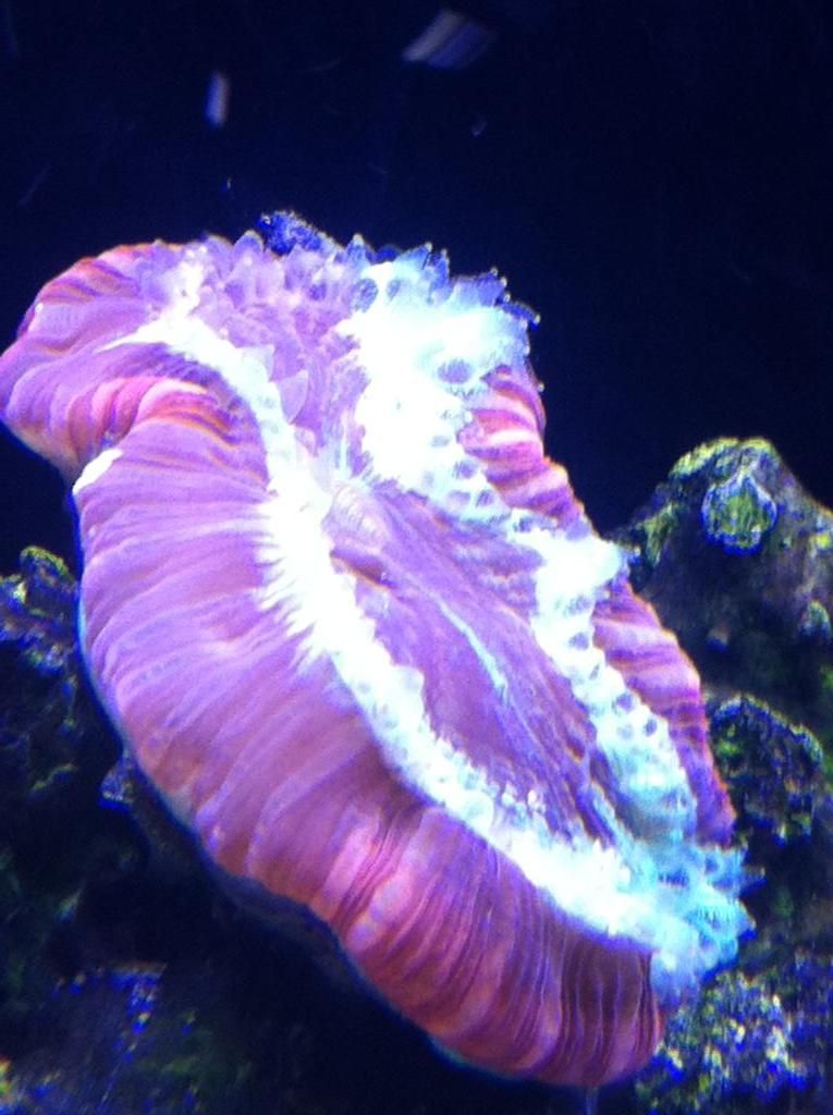 4850472e.jpg