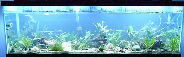 5-27-12a.jpg