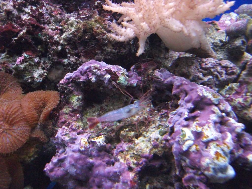DSCF0622.jpg