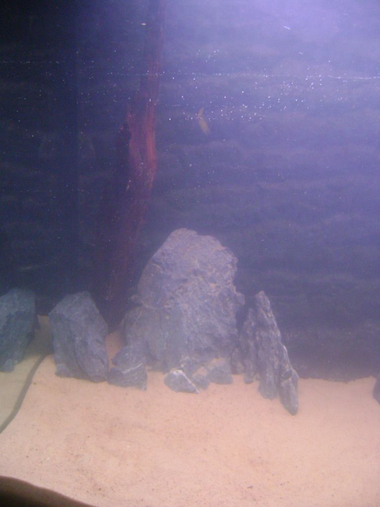 DSC028292.jpg