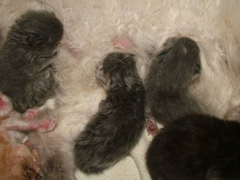 DSCF4244.jpg