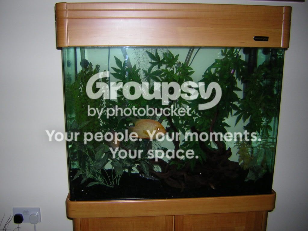 DSCN1099.jpg