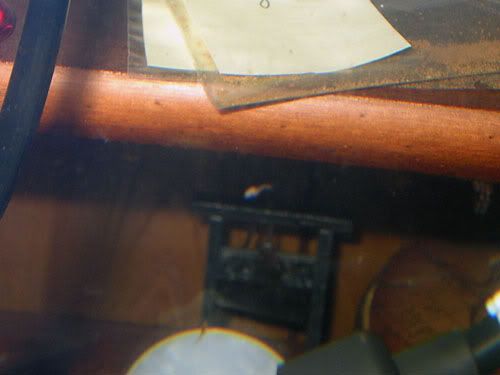DSCN2958.jpg