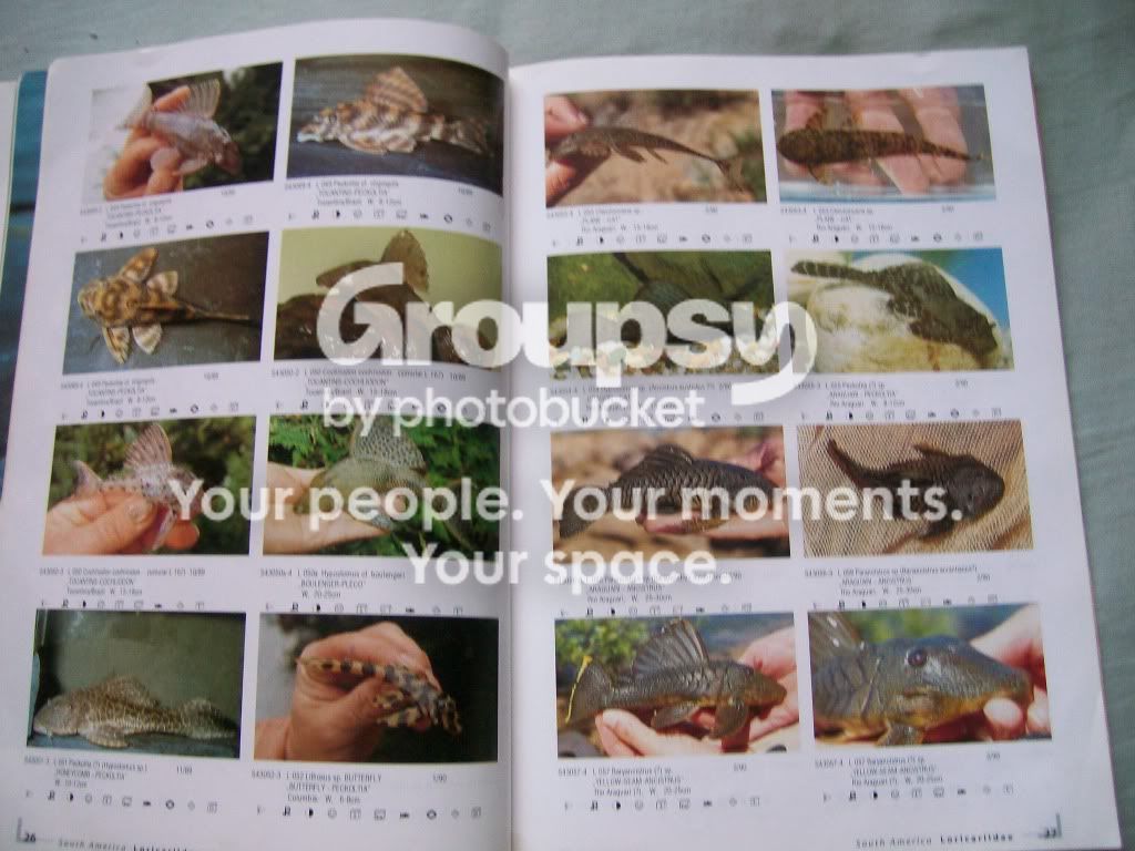 alog003.jpg
