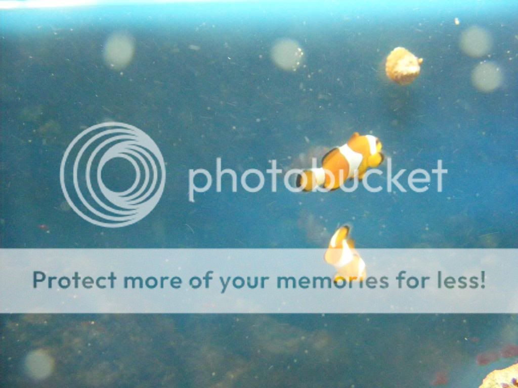 2010_0130art0003.jpg