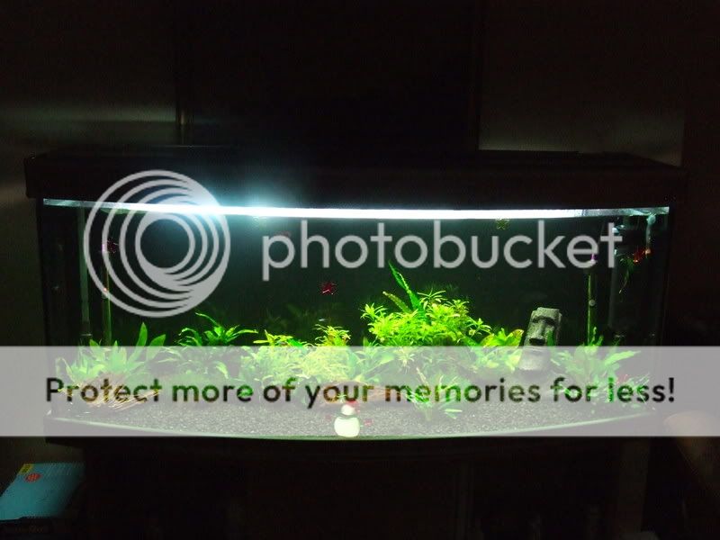 DSCF2872.jpg