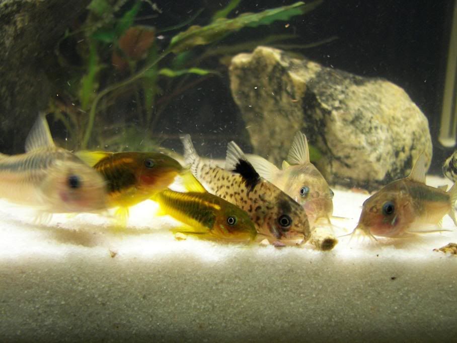 feeding3.jpg