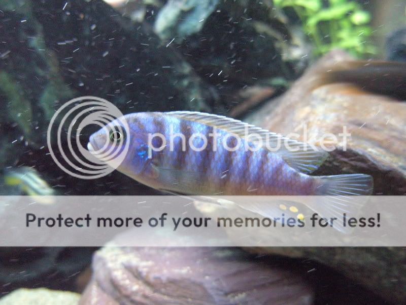 PICT0086.jpg