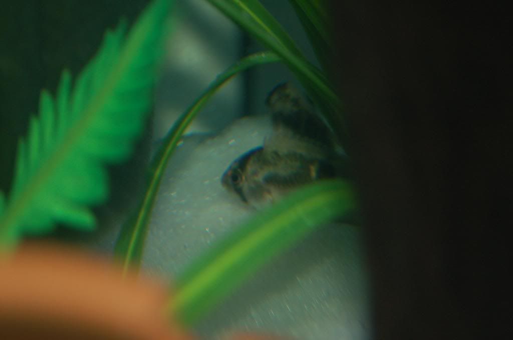DSC_2249.jpg