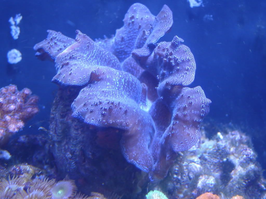 DSC01337.jpg