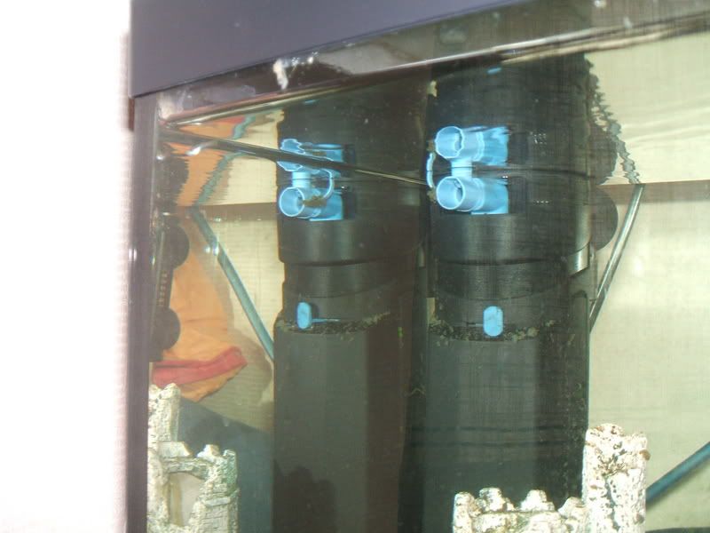 DSCF0915.jpg
