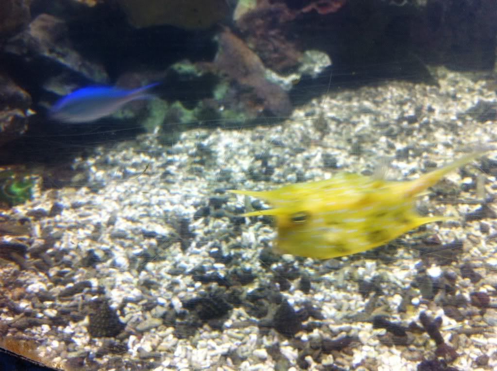 IMG_1040.jpg