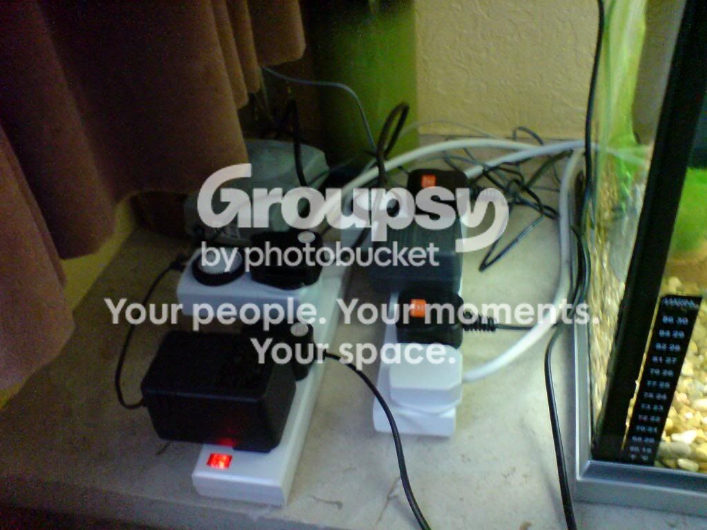 DSC00078.jpg