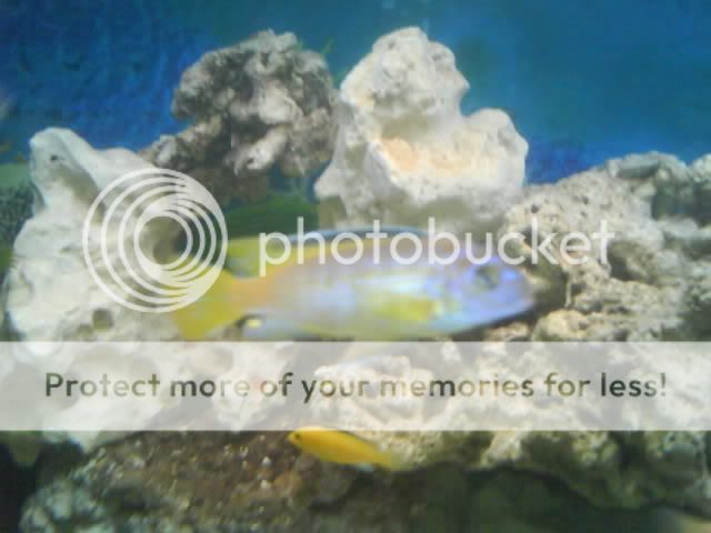 DSC01388.jpg