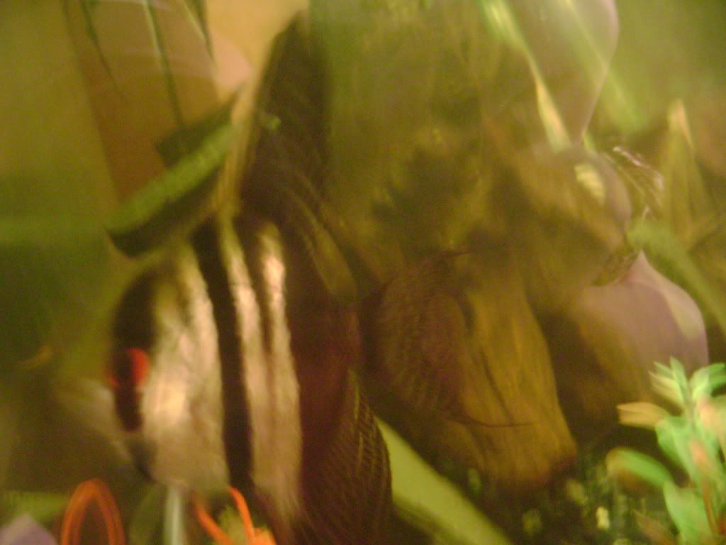 008-15.jpg