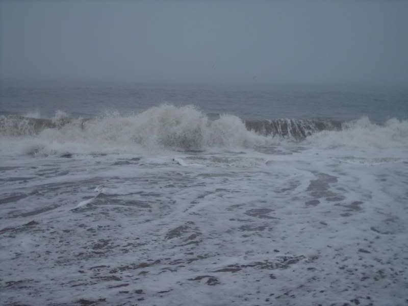 HPIM0099.jpg