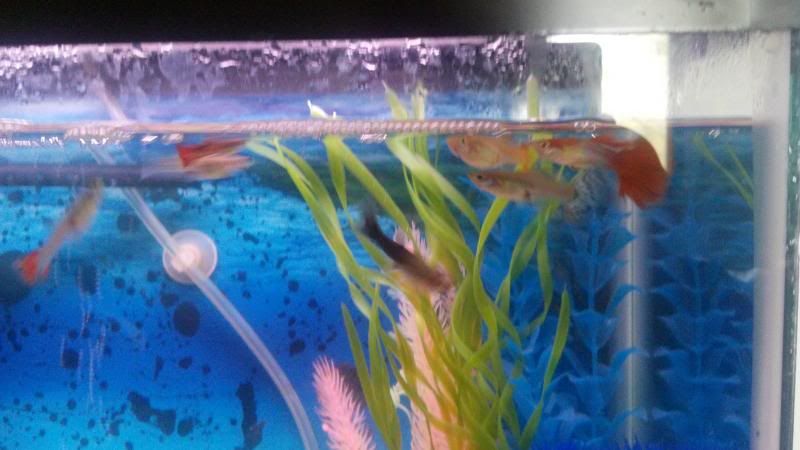 2013-04-06_13-34-29_291.jpg