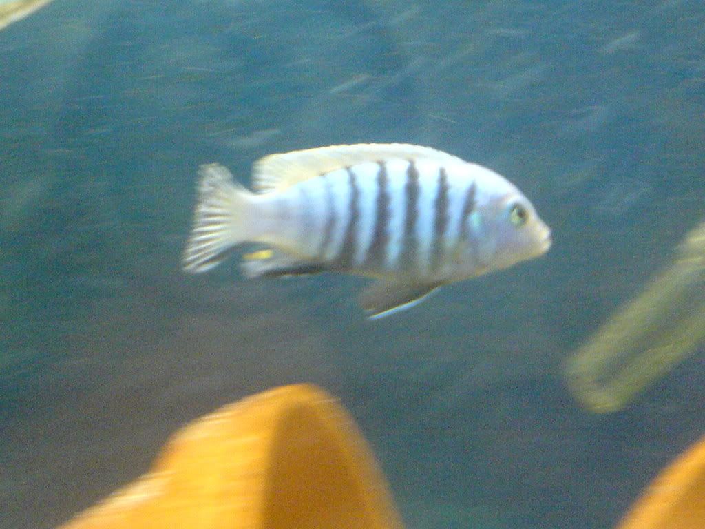 DSC02235.jpg