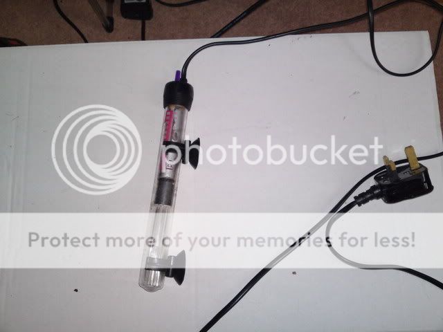 09092011066.jpg