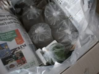 ECP_00003.jpg