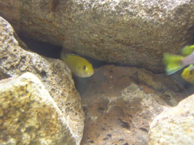 DSCN1210.jpg