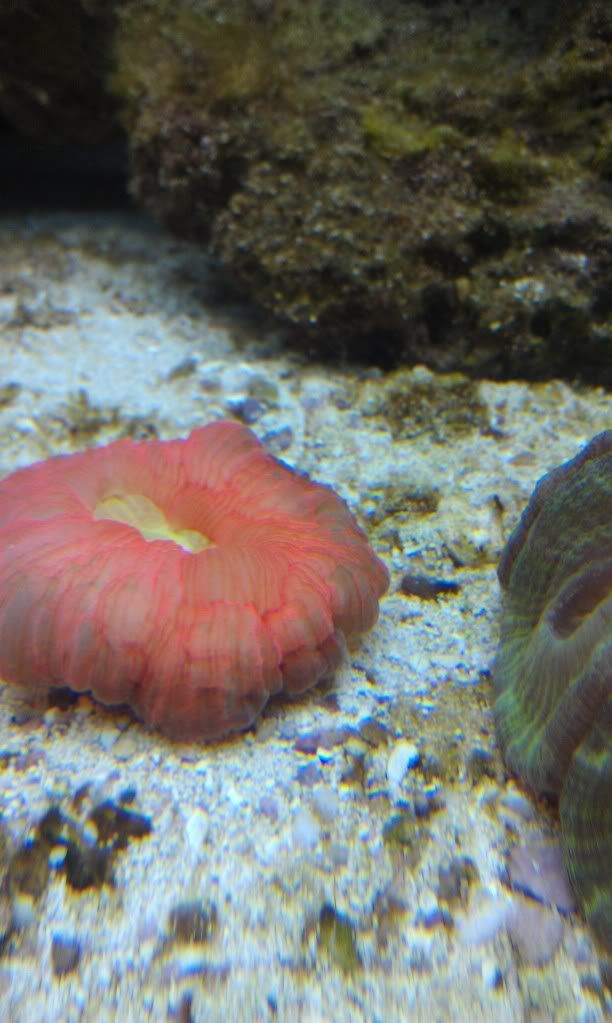 IMAG0606.jpg