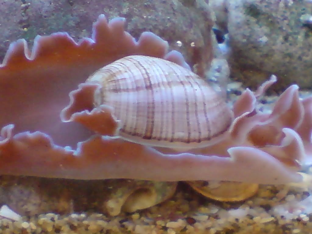 DSC00691.jpg