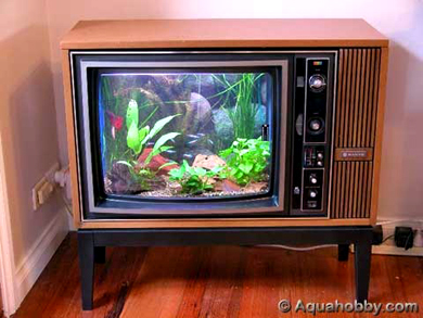 fishtanktv.jpg