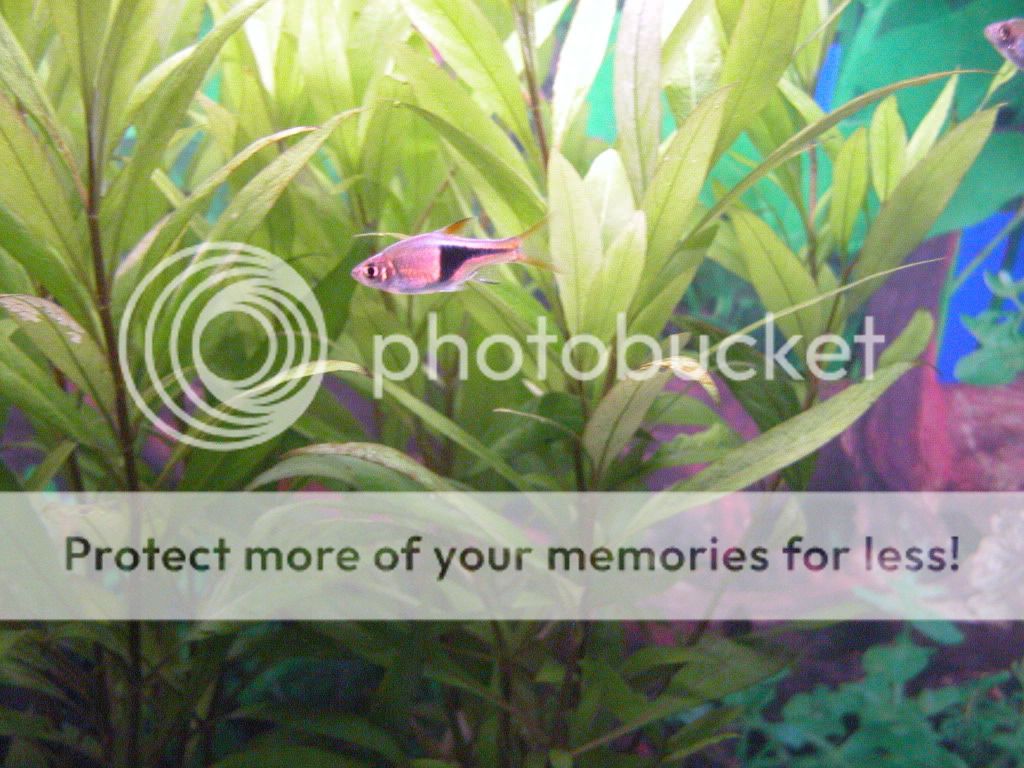 DSCN2933.jpg