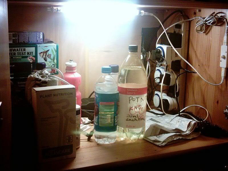 NewLight.jpg