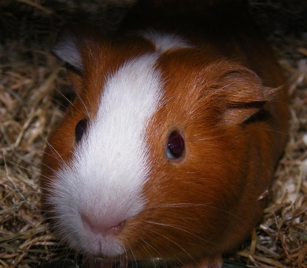 DSCF8632.jpg
