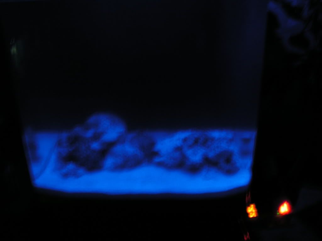 PICT1033.jpg