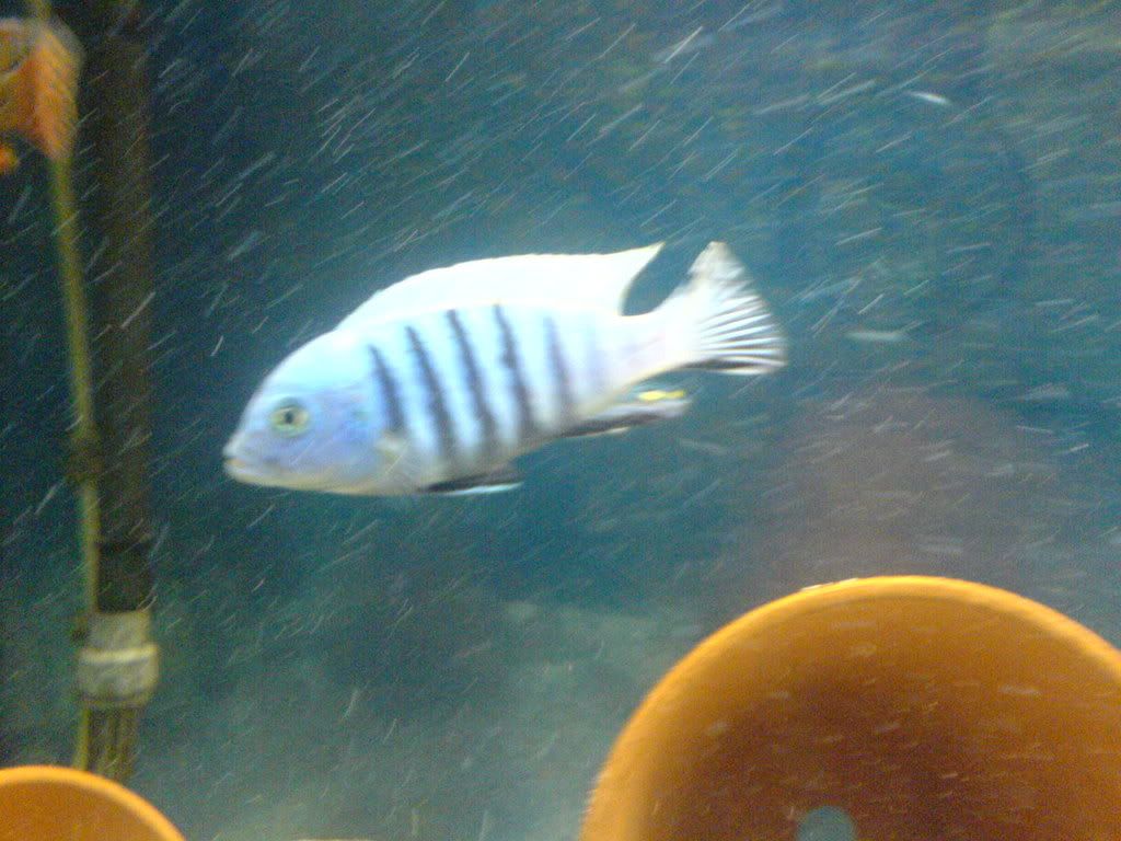 DSC02230.jpg