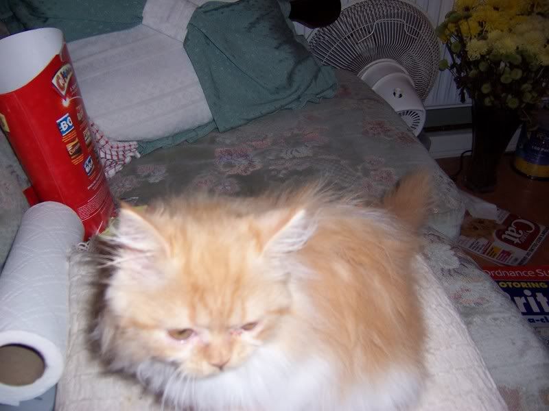 100_4410.jpg