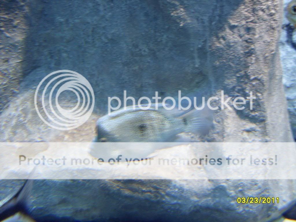 SDC126392.jpg