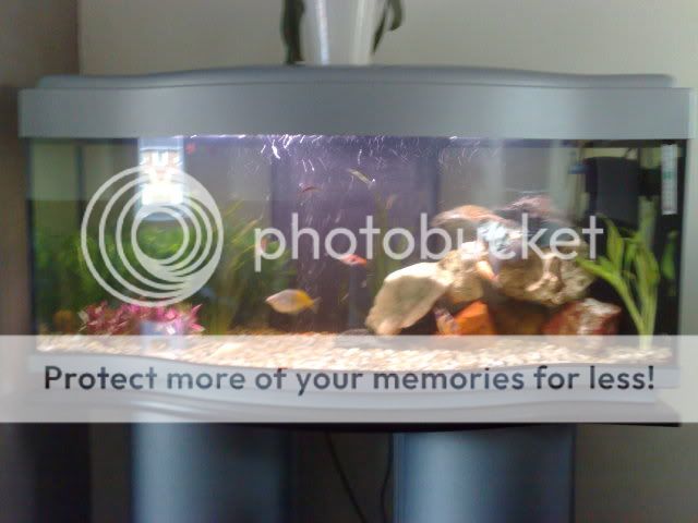 21042009179.jpg