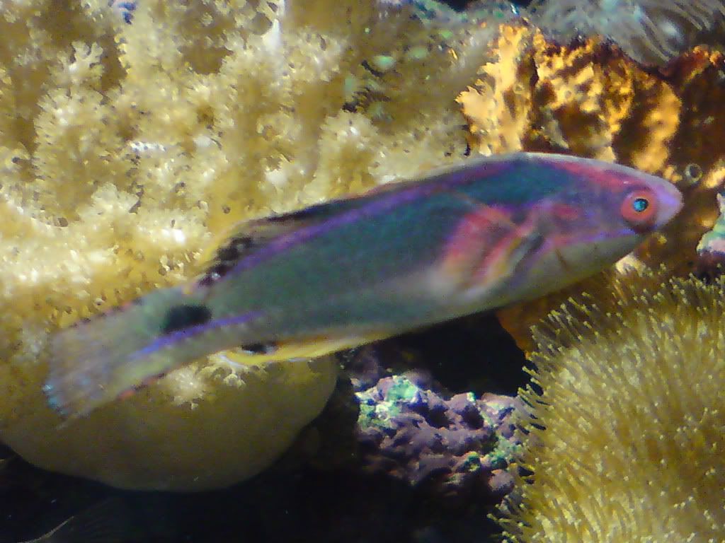 DSC00052.jpg