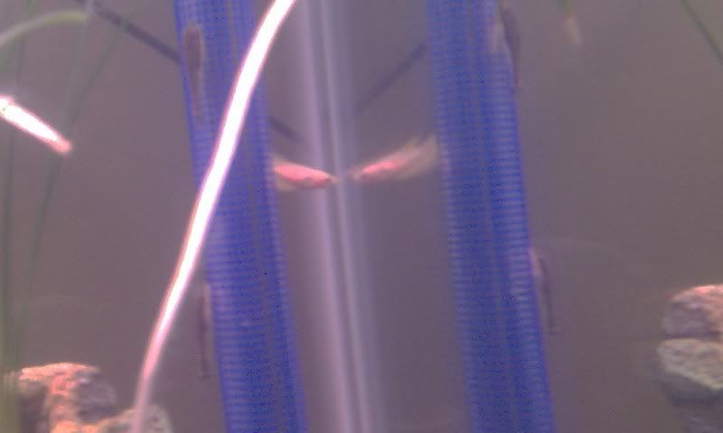 IMAG0150.jpg