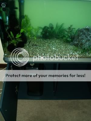 Aquascape3.jpg