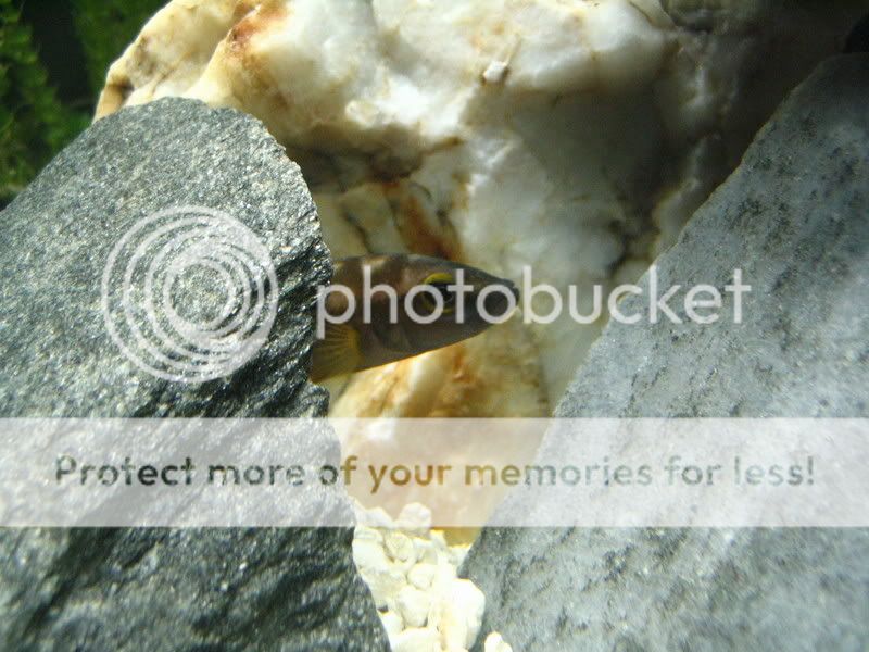 IMG_4675.jpg