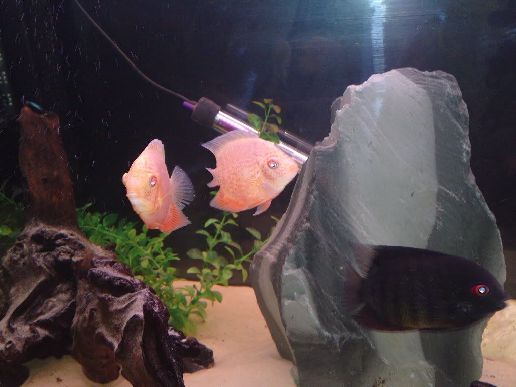 01022011081.jpg