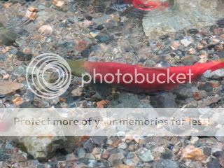 IMG_0703.jpg
