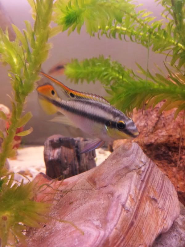 20120525_183256.jpg