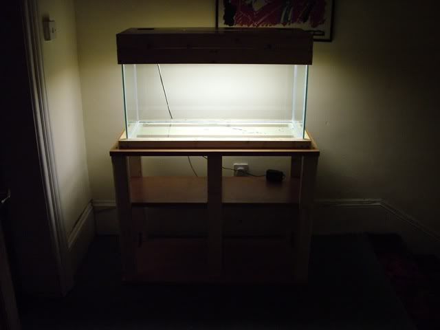 DSCF4027.jpg