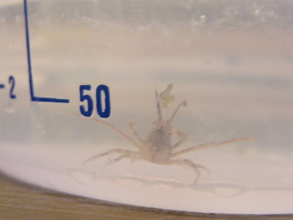 DSCF4003.jpg