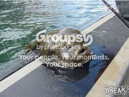 caption0fish.jpg