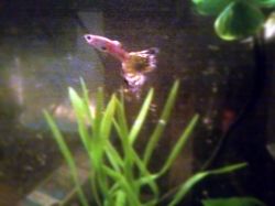 Picture0430130635_1.jpg