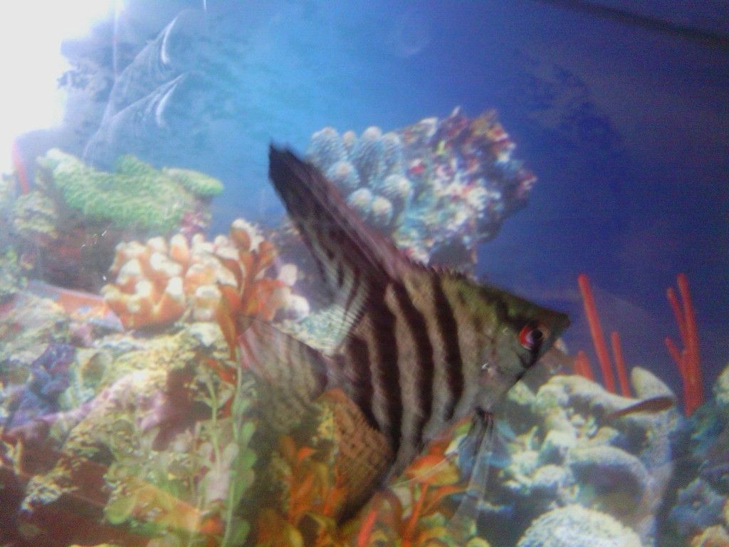 IMG_20120903_103129.jpg